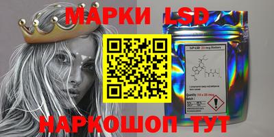 MDMA Гатчина