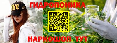MDMA Гатчина