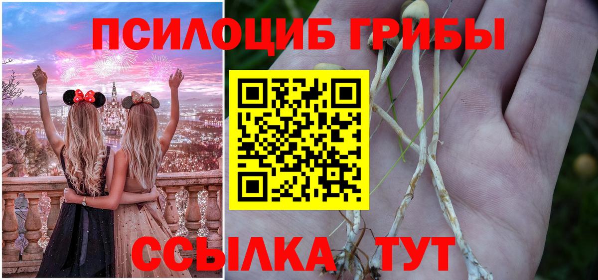 А ПВП Саратов