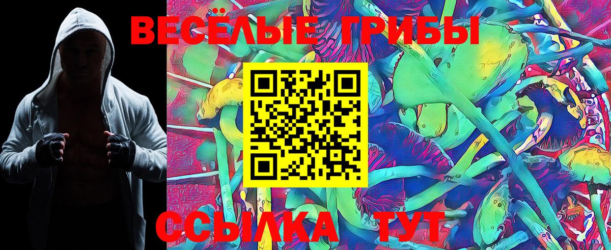 Саратов  Галлюциногенные грибы Psilocybe  Вход с VPN 